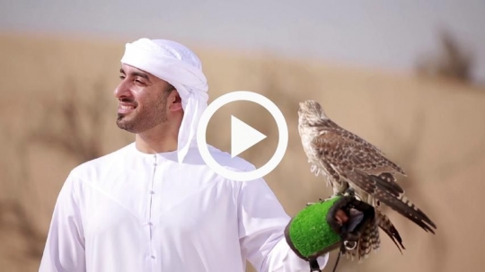 Young man carrying falcon