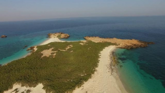 Dimaniyat Island|-