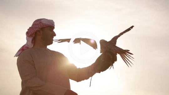Emirati with falcon