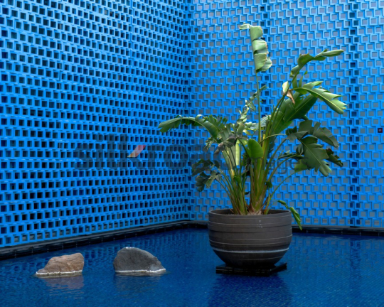 Hyatt Hotel Blue Water Feature with Green Plant