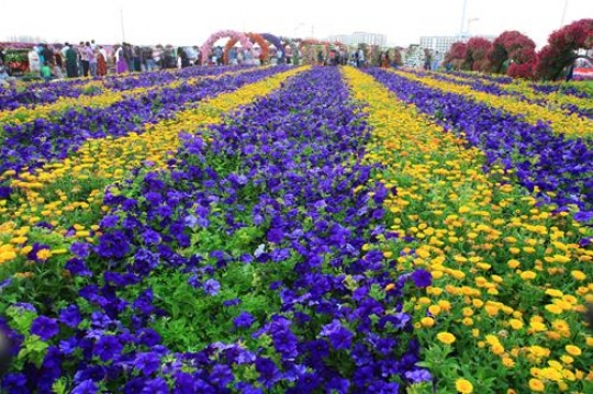 Flower garden