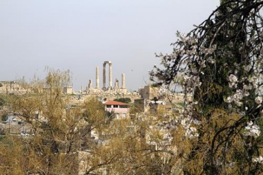 Citadel of Amman