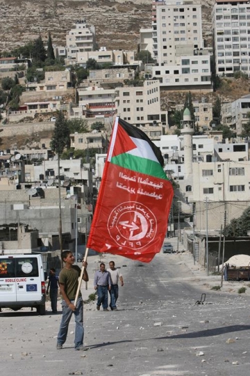Palestinian resistance