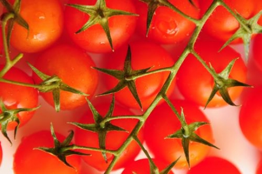 Cherry Tomatoes