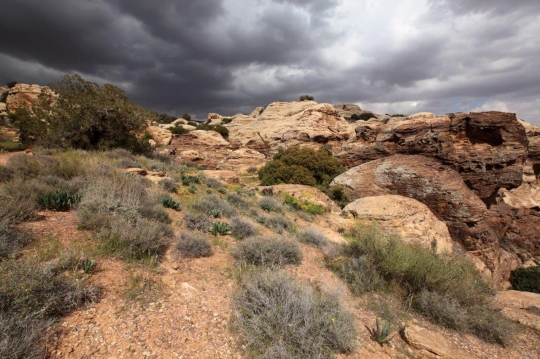 Dana Biosphere Reserve