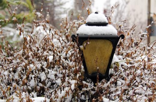 streetlight in snow
