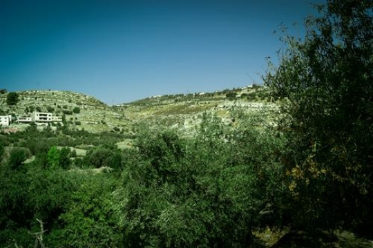iraq al amir,Jordan