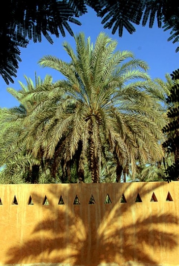 Traditional Wall in UAE