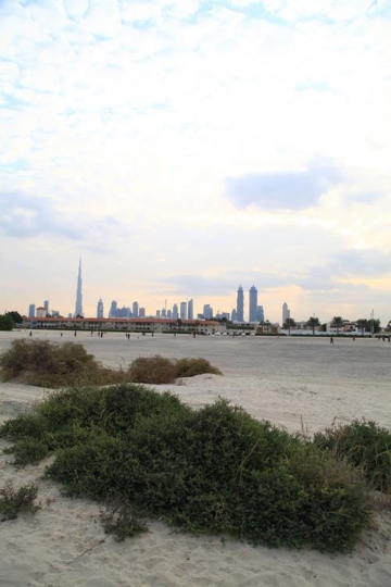 city view from a distance