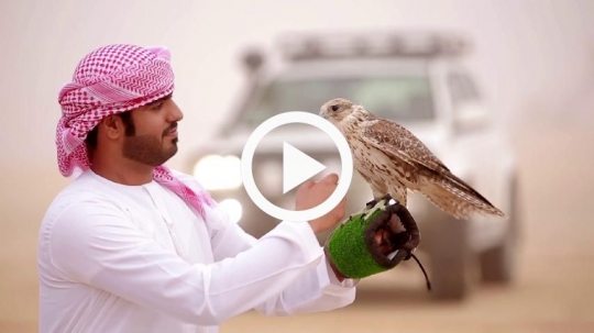 Young man caressing falcon