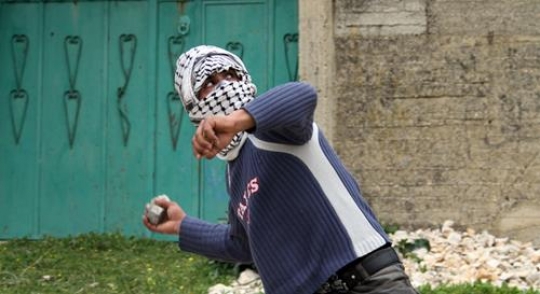 Brave Young Palestinian