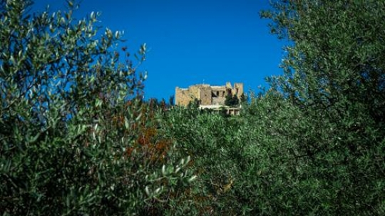 ajloun castle