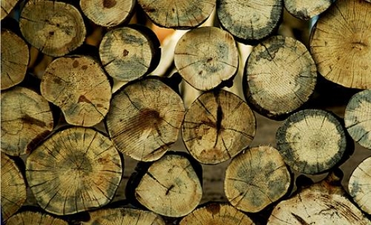 Stacked Logs