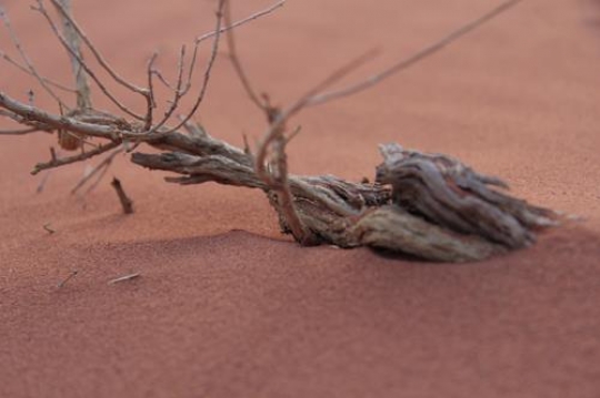 Wadi Rum desert landscape,Jordan