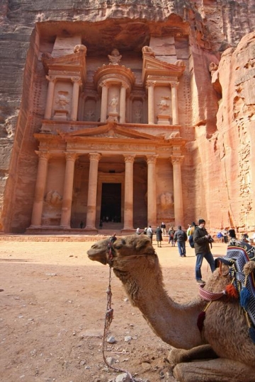 Petra Camel