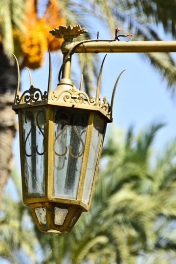 Lamp