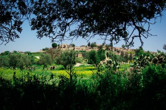 umm qais,gadara city norht-west of jordan