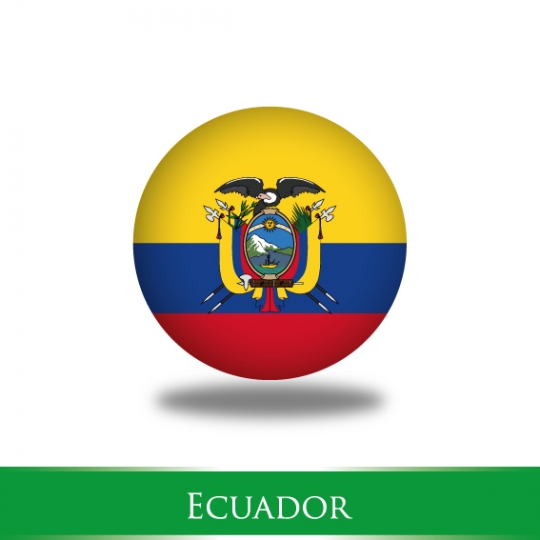 ecuador flag logo isolated on white background