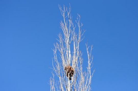 Reaching the Sky