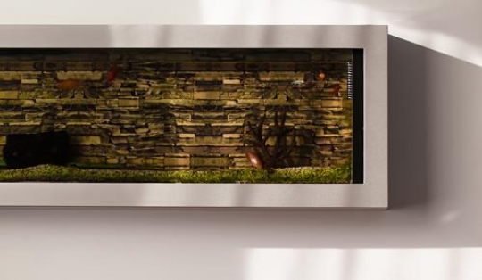 wall aquarium