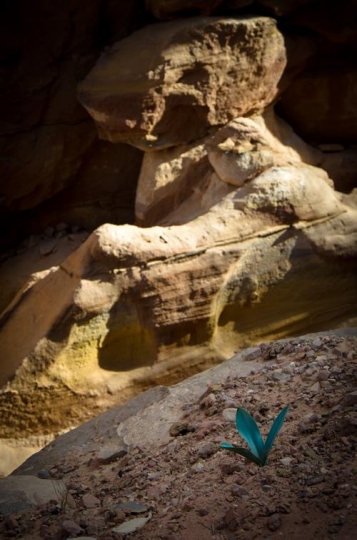 rocky mountains in the wadi rum desert,Jordan