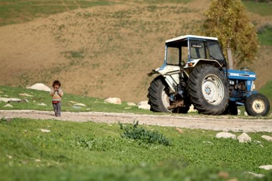 Cute little girl is playing with her brothers.