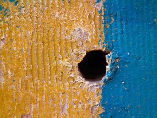 Blue and Yellow 