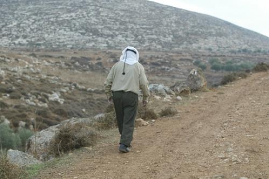 man walking on the road