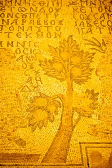 church of st stephen-umm ar-rasas,Jordan