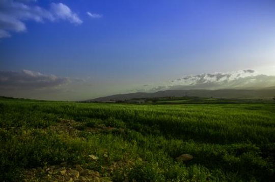 View of the town of Salt in Jo