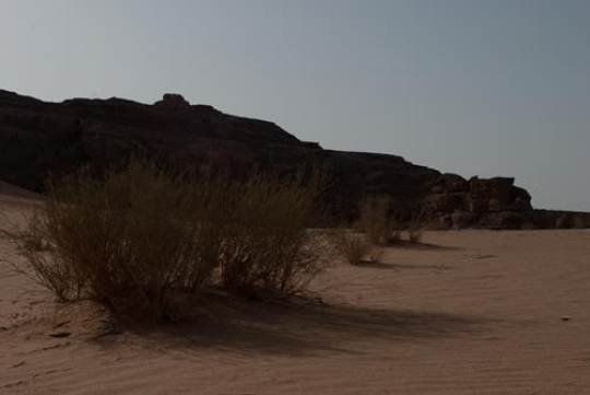 wadi rum desert