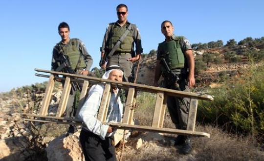 palestinian farmer passes israli soldier in his way to his land