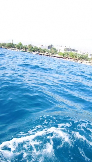 Aqaba Seay