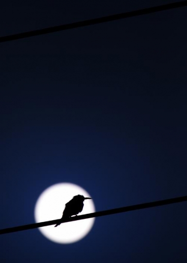 b506bb5a-7a00-4270-9e69-cabcc39ff8ce