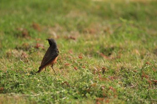 c3a94c10-dada-4c9f-925e-642f3548ab5e