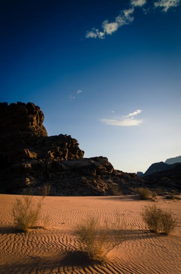 the wadi rum is the largest wadi in Jordan
