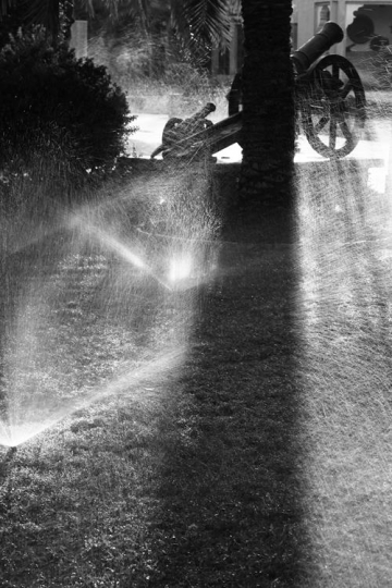 black and white natural view w