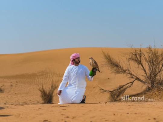 man looking at falcon with pride