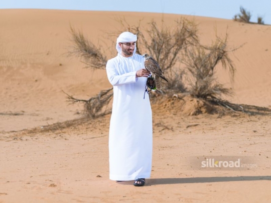 Man caressing chest of falcon