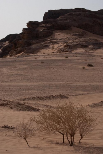 wadi rum desert landscape,Jord