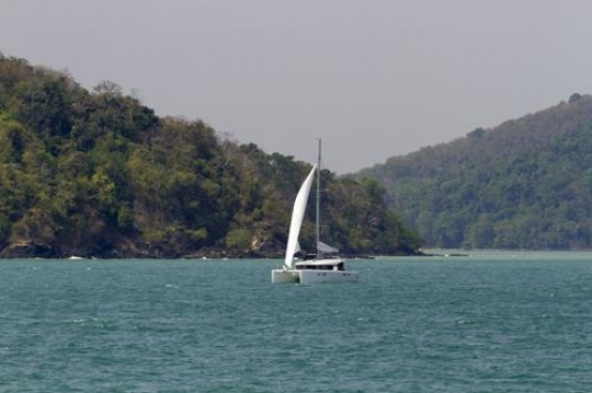 sailing boat in the sea