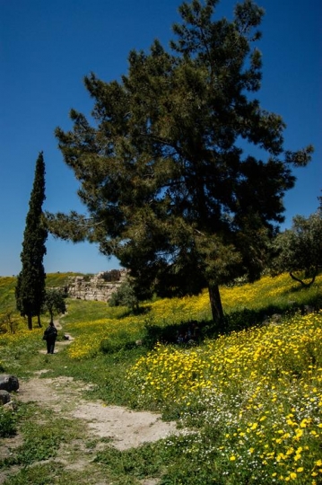 umm qais,gadara city norht-wes