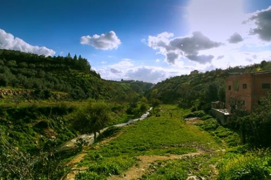 iraq al amir,jordan
