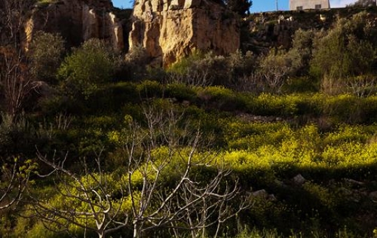 iraq al amir,Jordan