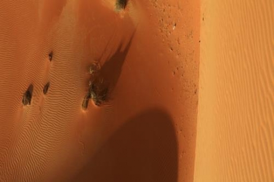 f2d3a1fd-3a48-4d64-89e0-b5776402fcab