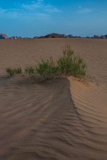 sand dune texture