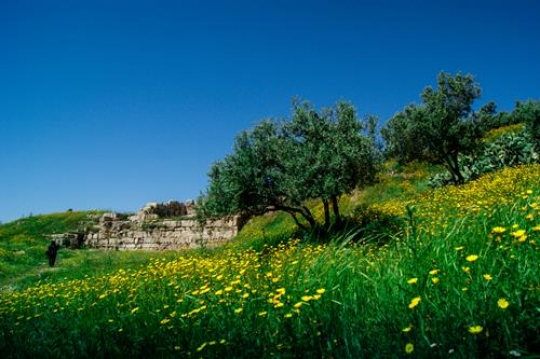 umm qais,gadara city north-west of Jordan