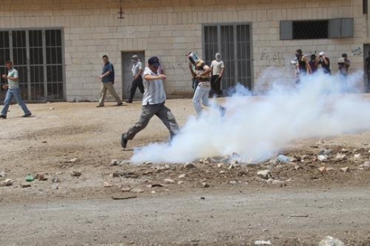 Palestinian resistence
