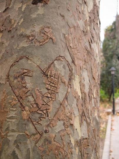 Heart y