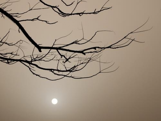Sandstorm 